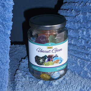 重生士兵的雌性征服日志
