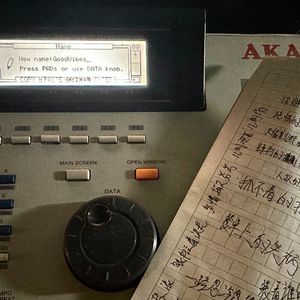 重生士兵的雌性征服日志
