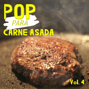 重生士兵的雌性征服日志
