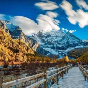 重生士兵的雌性征服日志
