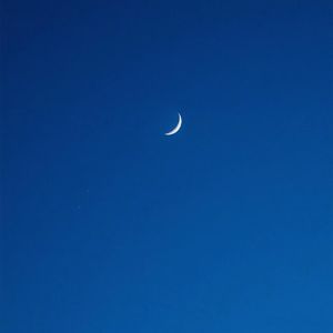 重生士兵的雌性征服日志
